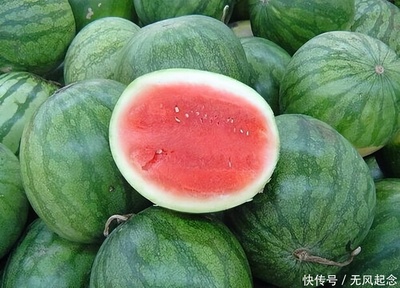 西瓜的描寫