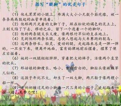 感謝學(xué)校的話優(yōu)美句子