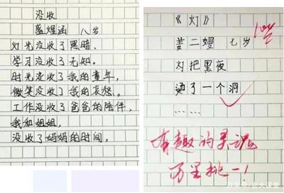 詩歌小學(xué)生寫的