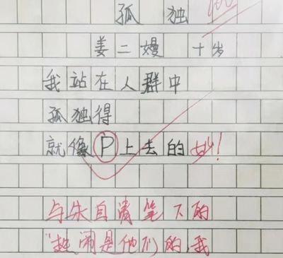 詩歌小學(xué)生寫的