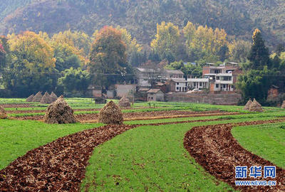 形容田園生活的句子