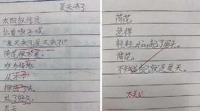 詩歌小學(xué)生寫的