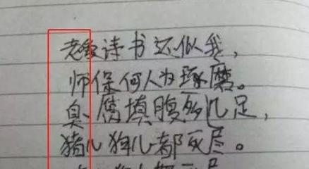 詩歌小學(xué)生寫的