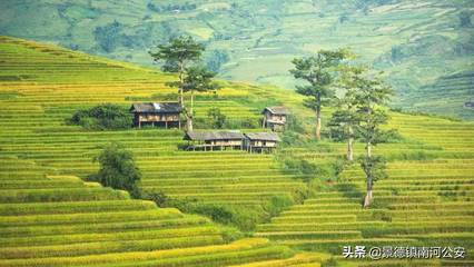 形容田園生活的句子