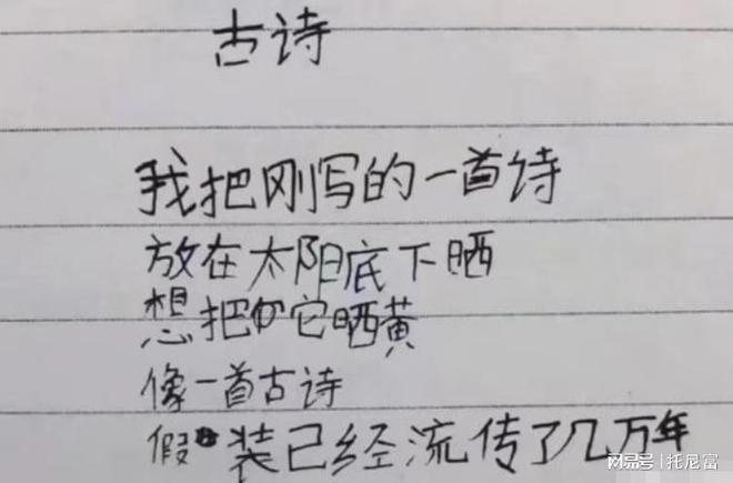 詩歌小學(xué)生寫的