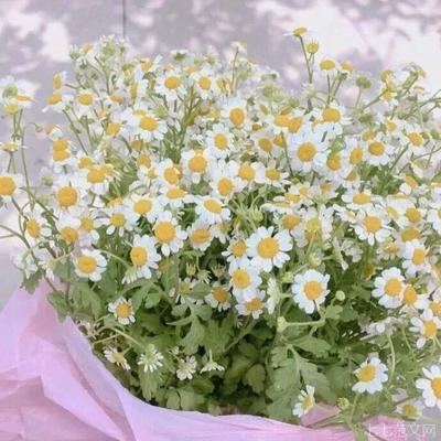 一起去看海的句子