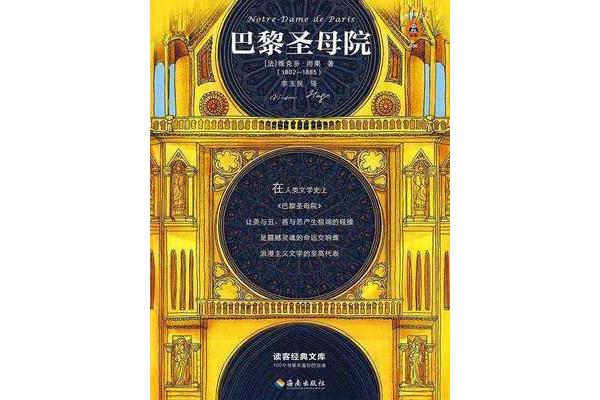 巴黎圣母院讀后感100字
